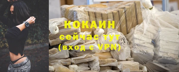 PSILOCYBIN Костерёво