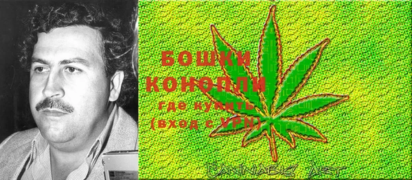 мяу мяу кристалл Коряжма