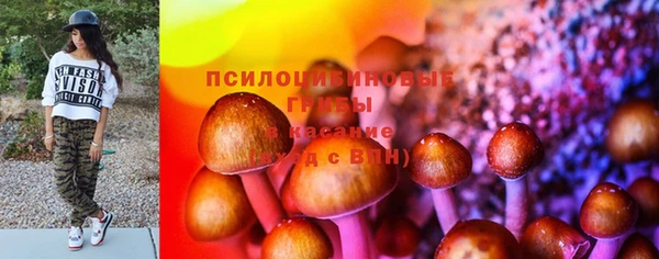 spice Корсаков
