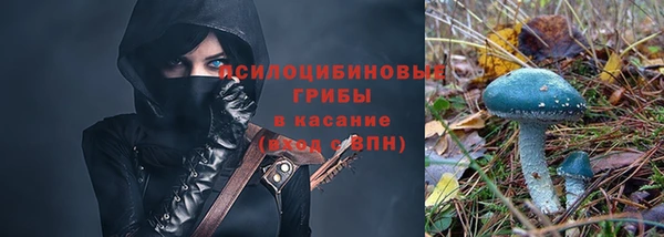 spice Корсаков